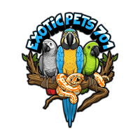 Exotic Pets 701