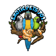 Exotic Pets 701